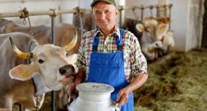 S&Uuml;T BEDELLERİ &Ouml;DENİYOR