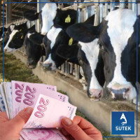 SÜT BEDELLERİ ÖDENİYOR ( 01 - 15 / EKİM / 2025 )